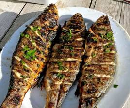 Grilled Fish